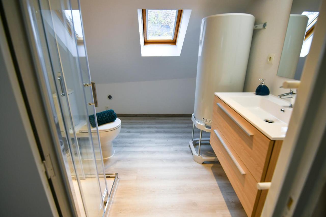 Ferienwohnung Au Duplex De Jeannala Sélestat Exterior foto